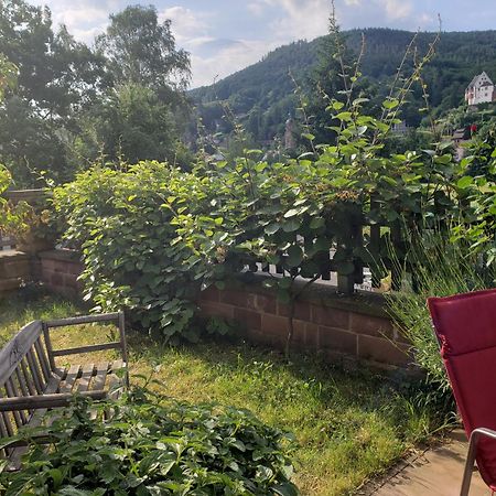 Panorama-Blick Miltenberg, 3 Pers., Zentr., Am Main, Terrasse, Bootverleih, P ภายนอก รูปภาพ