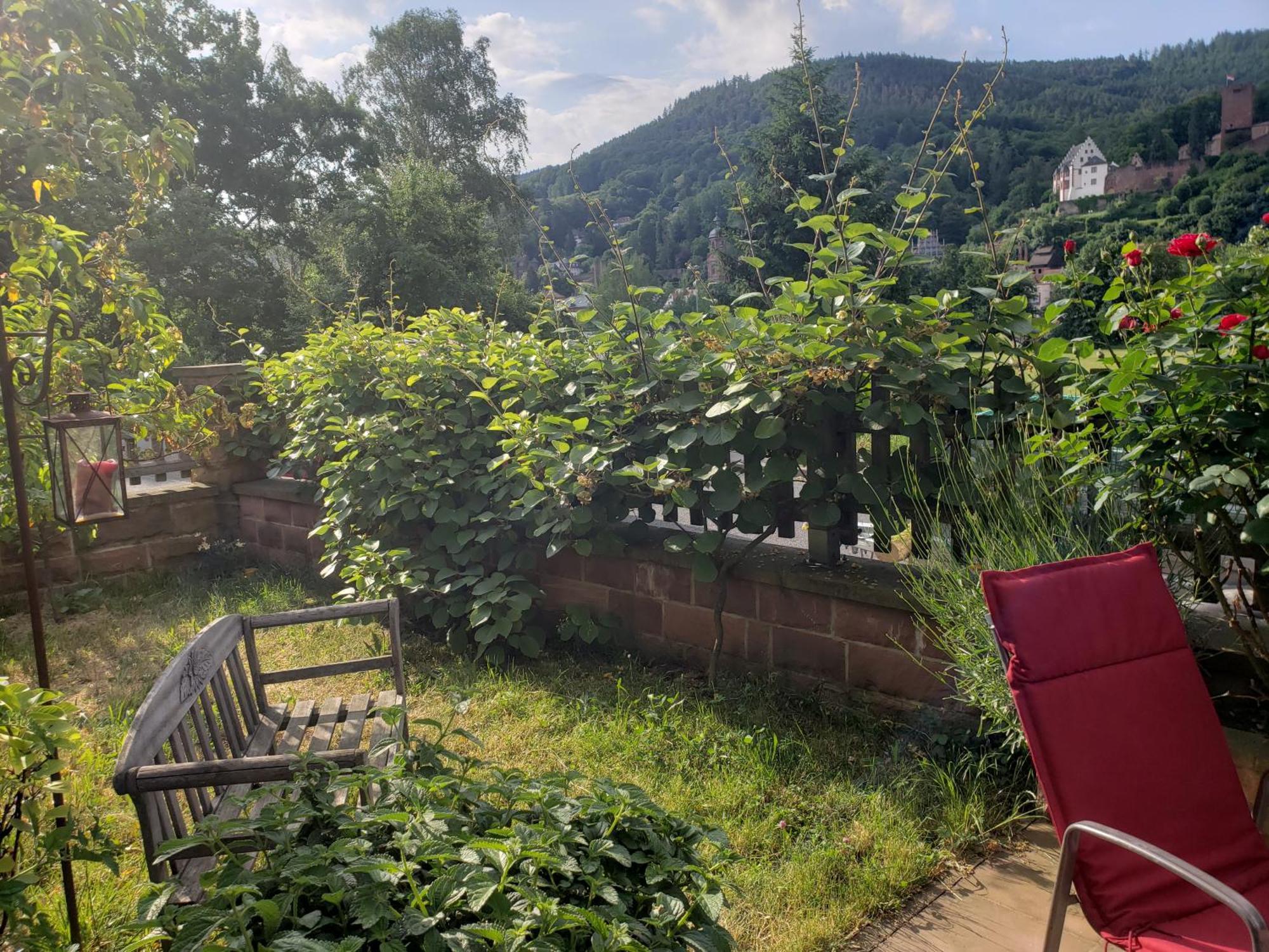 Panorama-Blick Miltenberg, 3 Pers., Zentr., Am Main, Terrasse, Bootverleih, P ภายนอก รูปภาพ