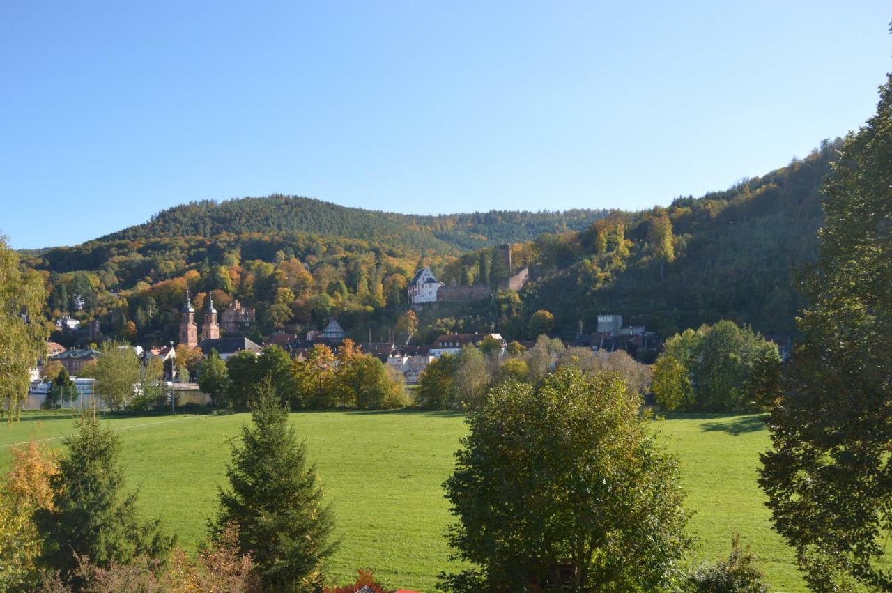 Panorama-Blick Miltenberg, 3 Pers., Zentr., Am Main, Terrasse, Bootverleih, P ภายนอก รูปภาพ