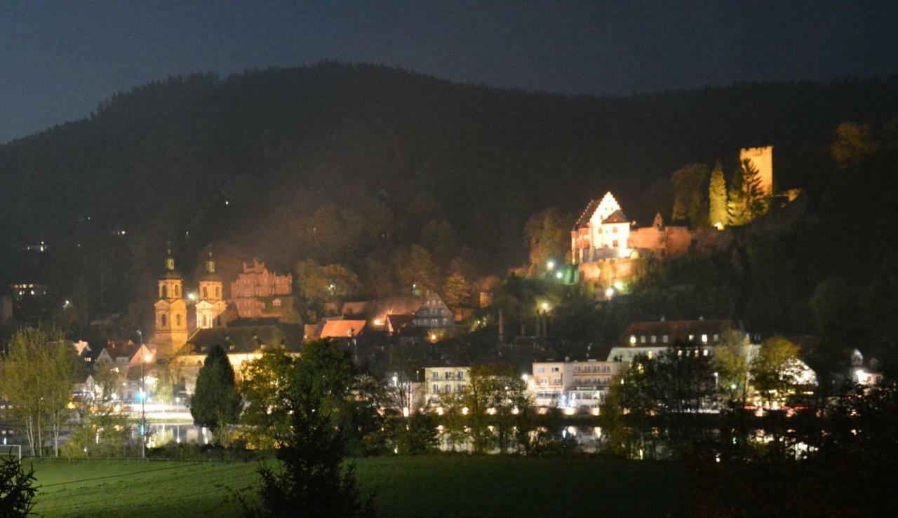 Panorama-Blick Miltenberg, 3 Pers., Zentr., Am Main, Terrasse, Bootverleih, P ภายนอก รูปภาพ