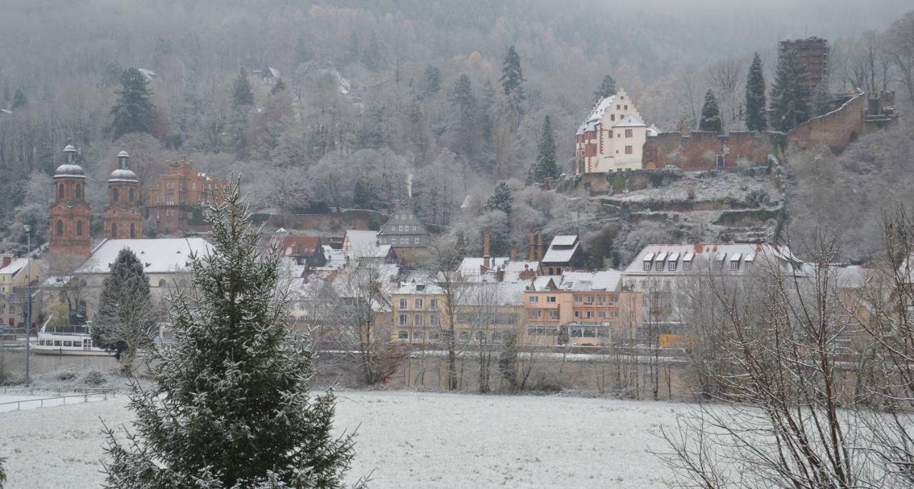Panorama-Blick Miltenberg, 3 Pers., Zentr., Am Main, Terrasse, Bootverleih, P ภายนอก รูปภาพ