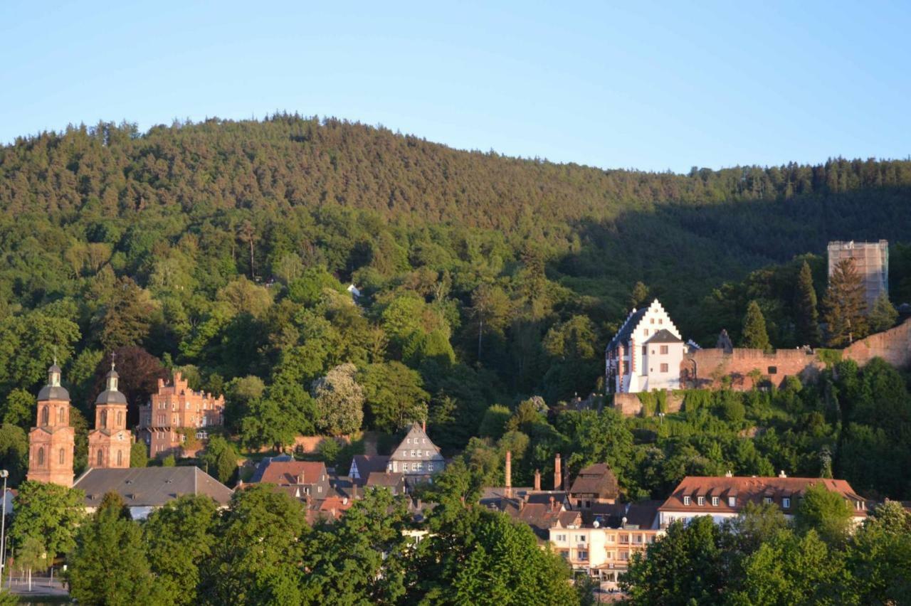 Panorama-Blick Miltenberg, 3 Pers., Zentr., Am Main, Terrasse, Bootverleih, P ภายนอก รูปภาพ