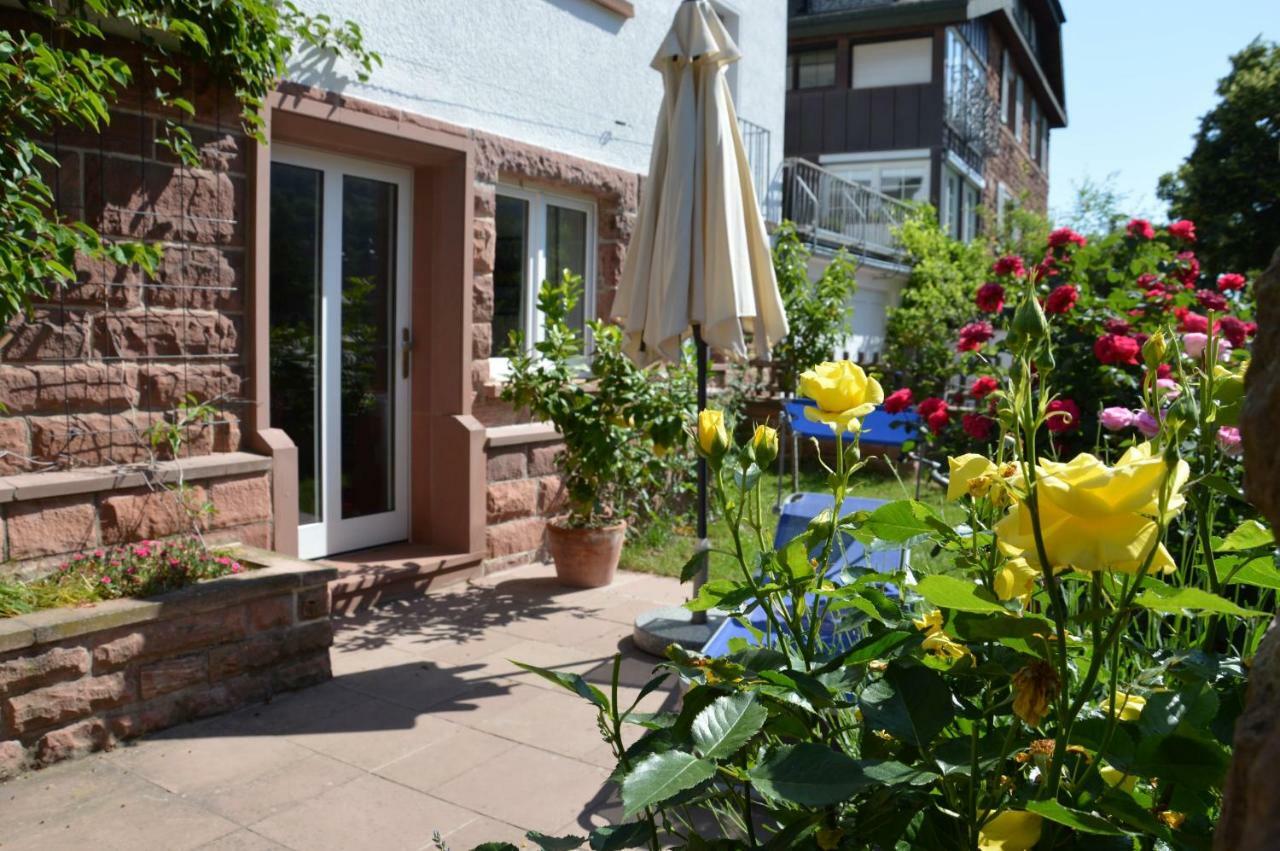 Panorama-Blick Miltenberg, 3 Pers., Zentr., Am Main, Terrasse, Bootverleih, P ภายนอก รูปภาพ